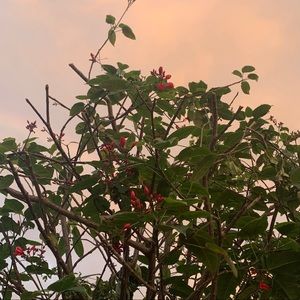 Meet your Posher, Ari